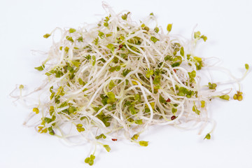 Fresh healthy alfalfa sprouts on white background. Food containing natural vitamins and minerals