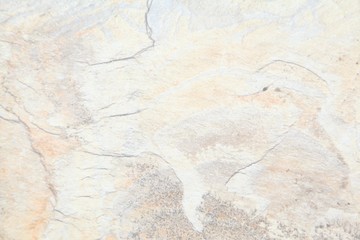Obraz premium Marble Tiles texture wall marble background