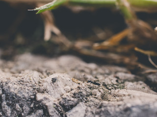 Stone wall macro