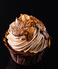 chocolate muffin on the black background