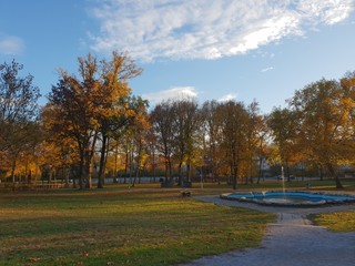 landscape