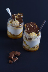 Two pieces of white cream with chocolate