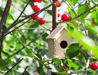 Cute wooden toy bird house in the depth of ripening cherry tree