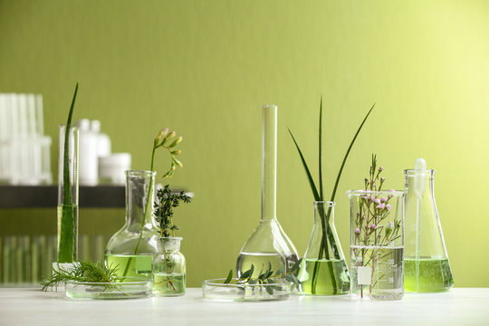 Ingredients for herbal cosmetic products in laboratory