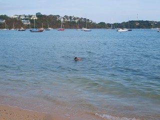 Snorkeling. A boy swims in the sea in shallow water with a mask and snorkel for scuba diving on the background of yachts and boats anchored in the bay