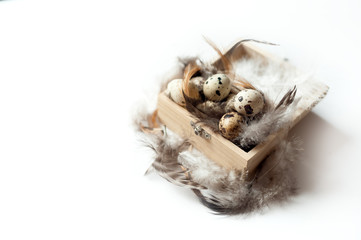 quail eggs and feathers on white background