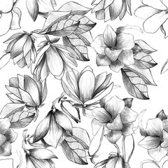 Seamless pattern with pencil magnolia. magnolia buds. manual graphics. Botanical flower, mascara, floral pattern for textile decoration and design, patterns. botanical color illustration.  © Катерина Ткаленко