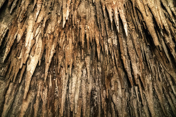 Amazing underground limestone caves.