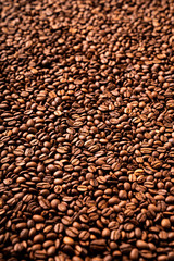 Close-up of roasted coffee beans