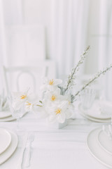  Coral and white printing in concept. Light interior of the photo Studio. White wedding table decor.