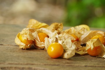 Cape Gooseberry on wooden floor texture with copy space  use for backgroud or wallpaper , selective  focus .