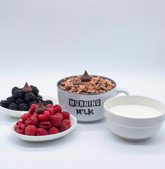 Blackberries and chocolate breakfast