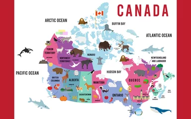 Fotobehang Vector Illustration of Canada map animal flat design © magemasher