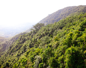 Mountains in the jungle on the island.