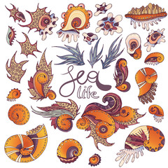 Sea life collection