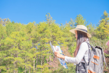 Smiling woman traveler in pink sakura blossom park at doi inthanon landmark chiang mai thailand with backpack holding world map on holiday, relaxation concept, travel concept