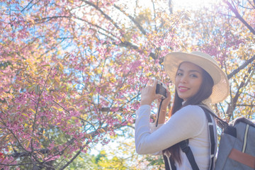 Smiling woman traveler in pink sakura blossom park at doi inthanon landmark chiang mai thailand with backpack holding vintage camera on holiday, relaxation concept, travel concept