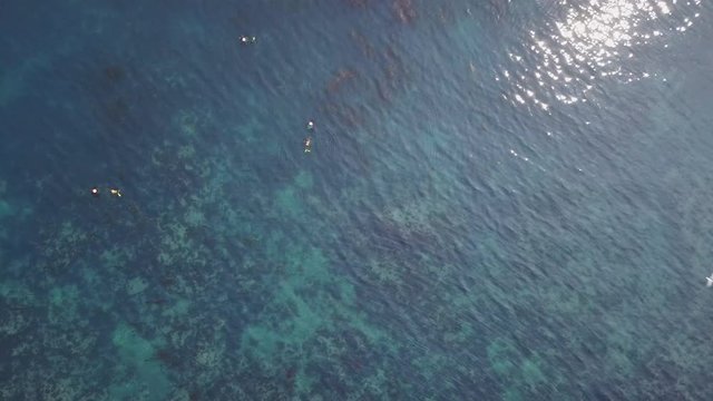 Jeju Island Korean Divers Aerial View Straight Overhead Tracking