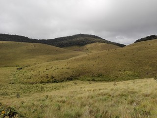 Horton Plains National Park is a protected area in the central highlands of Sri Lanka and is covered by montane grassland and cloud forest. This plateau at an altitude of 2,100–2,300 metres is rich in