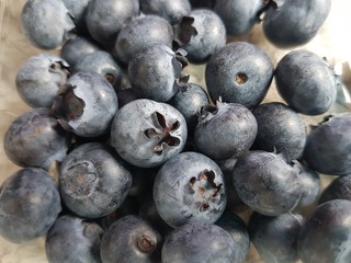 blueberries on white background