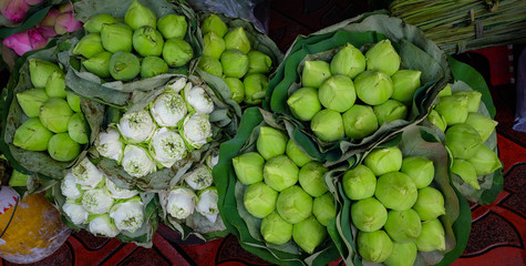 Group of Lotus in flower shop