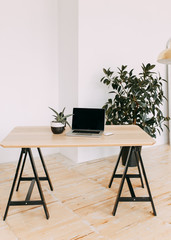 modern office, laptop computer and plant on a wooden table against a white wall, workplace, minimalism, lifestyle, management, gadgets, technology, business