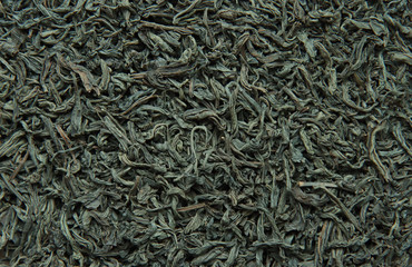 Dried green tea leaves.