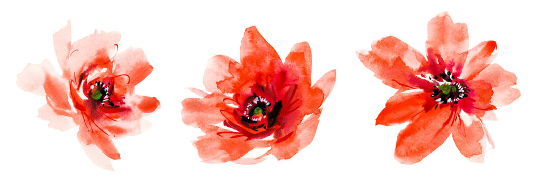 Flowers watercolor illustration.Manual composition.Big Set watercolor elements.