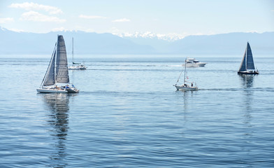 Obraz premium yachts and catamarans in sailing races in sunny summer day. regatta is starting: sailboats go away to the Pacific ocean. Victoria, British Columbia. Canada