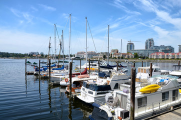 Fototapeta na wymiar yachts moored in marina in Victoria downtown. Inner Harbour on bright sunny day, city buildings in the background. Victoria, Vancouver Island
