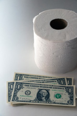 Toilet paper roll with cash