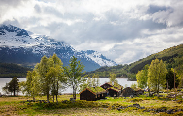 Traditional, grassy roofs of houses in Norway