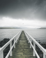 Obraz premium Human Nature