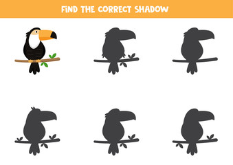 Find the right shadow of toucan. Printable worksheet for children.