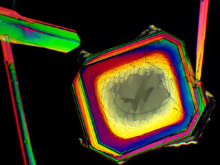 Thin layer of crystals of different chemicals seen in a microscope with polarized light.