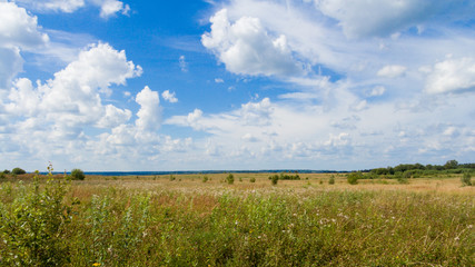 Landscape with a yellow field and white clouds in the blue sky