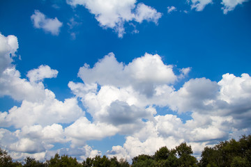 White clouds and green treetop on the blue sky backdrop