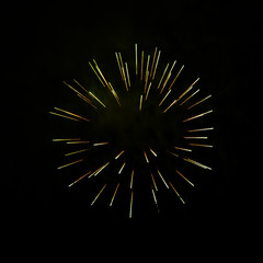 Firecracker in the dark sky