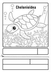 ウミガメ　ぬりえ　応募用紙