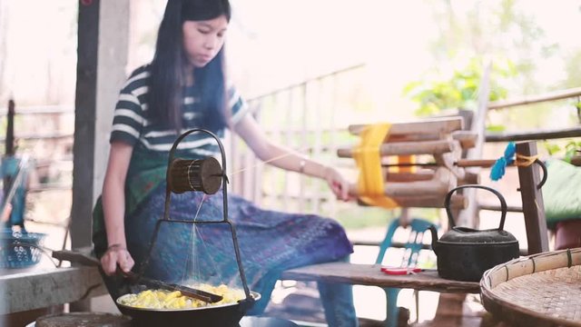 Woman weaving and spinning natural colorful threads or yarn. Raising thread for making thread. Boiling the cocoons of the silk worms. Silk production process in Thailand