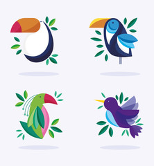 Obraz premium birds ornithology nature fauna flora design