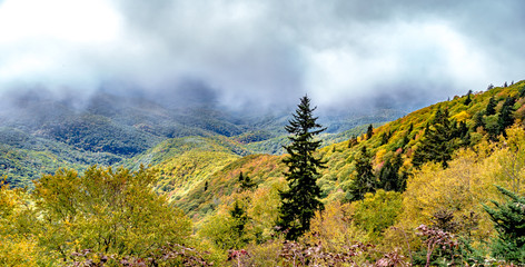 autumn season in apalachin mountains on blue ridge parkway
