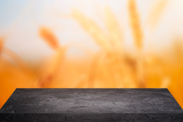 Black clear stone surface on blurred background of wheat, blue sky.