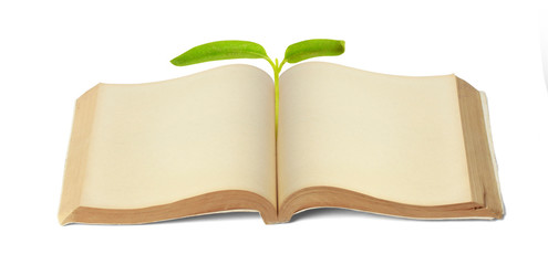  Close up open vintage old book