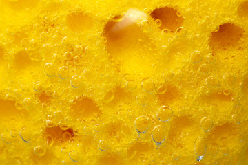 yellow dish washing sponge macro. bubbles, under water. porous macro sponge.
