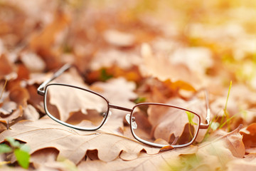 Autumn vision loss concept