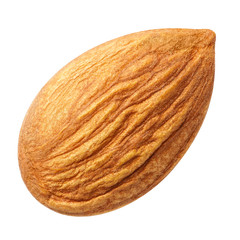 Close-up of delicious almond, isolated on white background