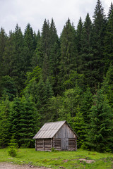 Fototapeta na wymiar Old wooden houses in the Carpathians