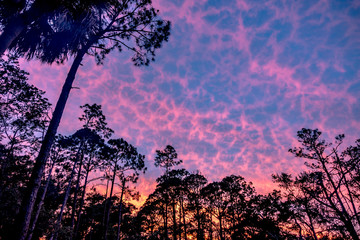 Hunting island south carolina beach scenes