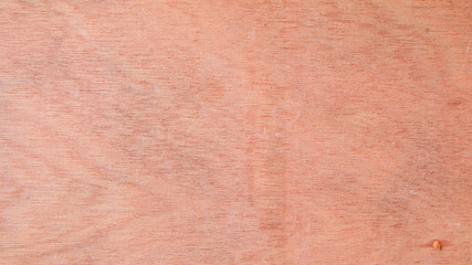 Close-up bright old wood texture, vintage wood background for design and decoration